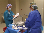 Banner Health OR Count